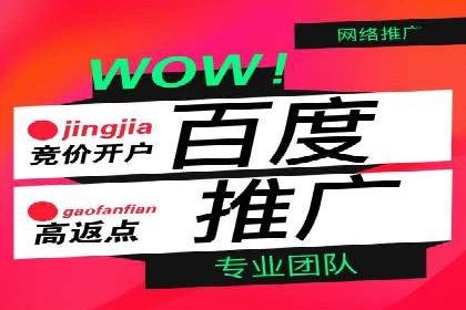 百度推广运营案例解析：从零开始到精通